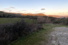 IMG_0217