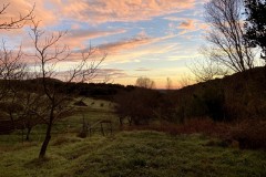 IMG_0225