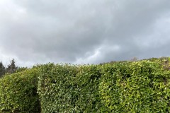 IMG_0249