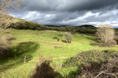 IMG_0253
