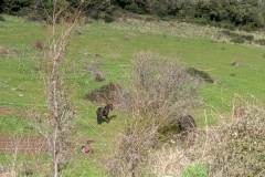 IMG_20200201_144634